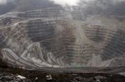 Akan Bangun Smelter Freeport Minta Kejelasan Pemerintah