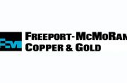 PT AKR Siap Jual 100 Hektar Lahan ke Freeport