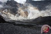 Relaksasi ekspor mineral mentah diputuskan Presiden Selasa