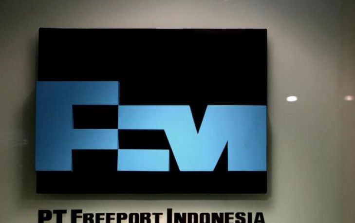 Pemerintah Ingin Holding Tambang Miliki 20 Persen Saham Freeport<br>