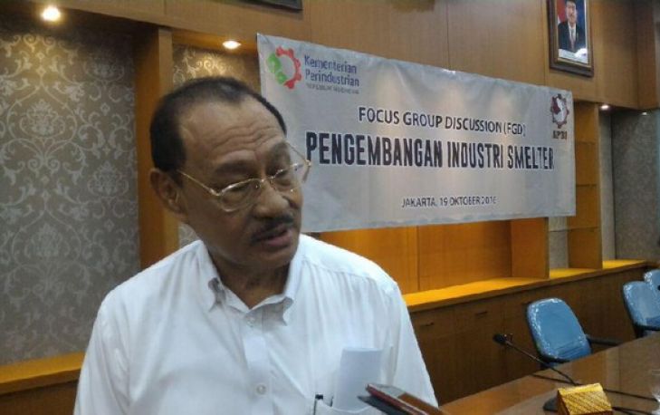 Minim Data Cadangan Tambang, Industri Smelter RI Sulit Berkembang