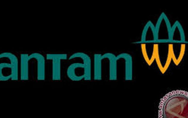 ISPA Minta Pemerintah Bantu Antam Atasi Masalah Tumpukan Nikel