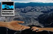 Freeport Tak Punya Niat Baik Bahas Divestasi dengan Pemerintah