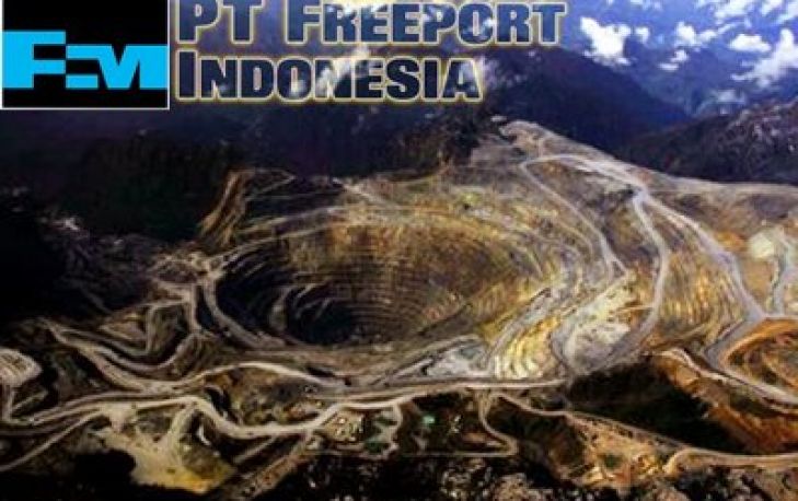 Alasan Freeport Tak Kunjung Dipanggil Pemerintah