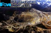 Alasan Freeport Tak Kunjung Dipanggil Pemerintah