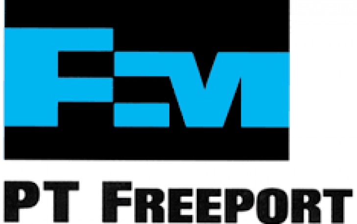 ESDM: Pembangunan Smelter Freeport belum Signifikan