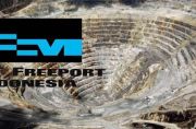 Pemerintah rencana Alihkan 936 Saham Freeport Indonesia ke Holding BUMN Tambang