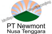 Izin Ekspor Newmont Akan Diperpanjang