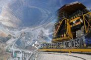 Pemerintah 5 Kali Manjakan Freeport