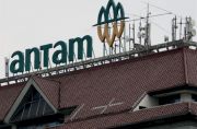 Dirut Antam Sebut Ekspansi di Pomalaa Mengalami Kemajuan