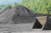 Perusahaan Tambang BUMN Didorong Masuki Industri Hilir