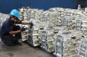 Harga Timah 20 Mei Tergerus Penguatan Dollar AS