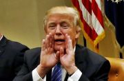 SENTIMEN PASAR 24 JANUARI Peluang Kebijakan Trump Aturan FreeFloat