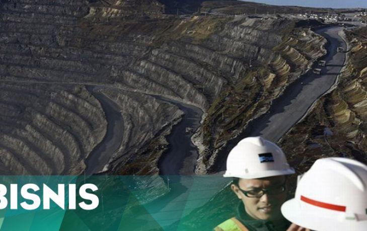 Hanya Antam yang Punya Kualifikasi untuk Ambil Saham Freeport