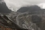 Freeport Diminta Bangun Smelter di Papua
