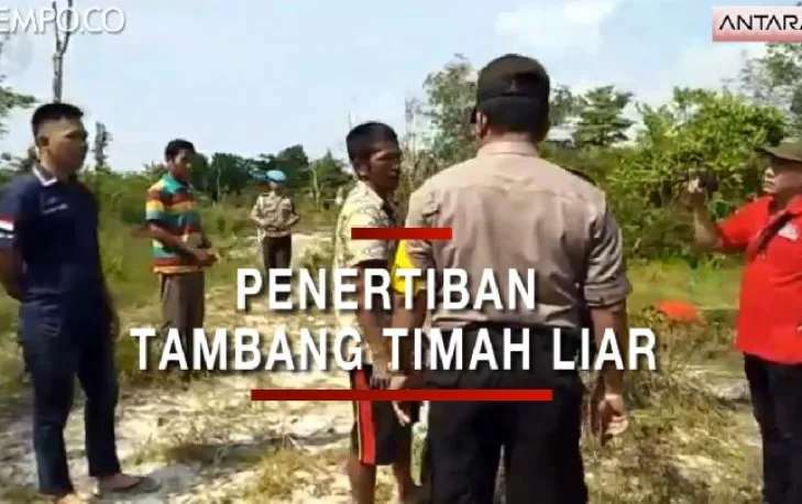 Smelter Timah Tutup, Aktivitas Tambang Ilegal Makin Marak 