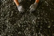 PWYP Indonesia Minta Pemerintah Batalkan Relaksasi Ekspor Mineral