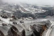 Industri Smelter Minta Pemerintah Tidak Perpanjang Relaksasi Ekspor Mineral
