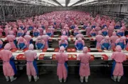 Investasi dan Timbulnya Masalah Yang Dilakukan Pekerja Cina