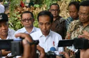 Jokowi Optimis Hilirisasi Nikel Mampu Tekan Defisit Transaksi Berjalan