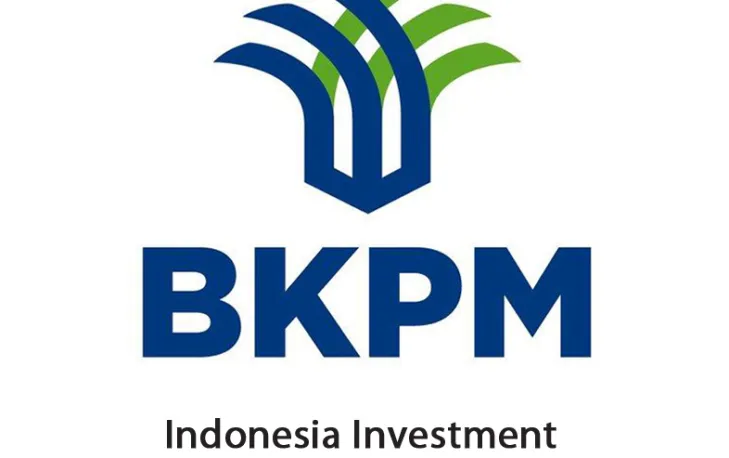 BKPM Soroti Pasokan Listrik Untuk Investasi Smelter 